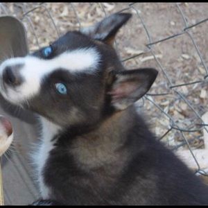 Meet your Posher, Jorge